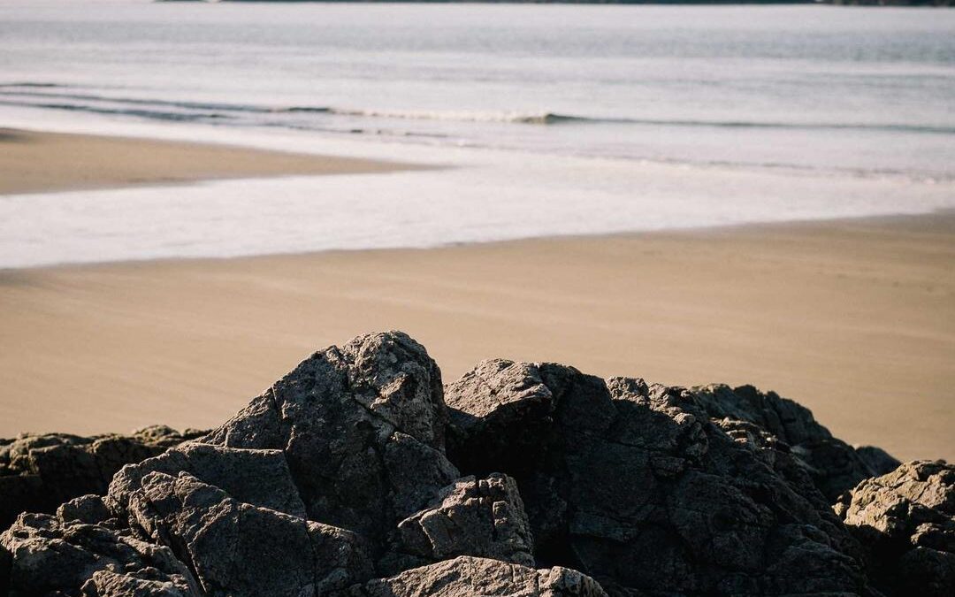 Ea sapiente eius commodi