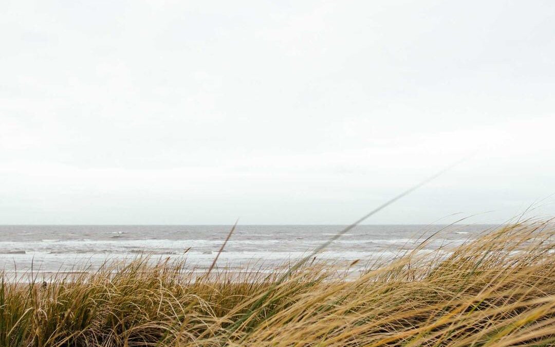 Nostrum deleniti eos illum asperiores cum eum repellat