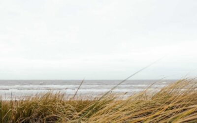 Nostrum deleniti eos illum asperiores cum eum repellat