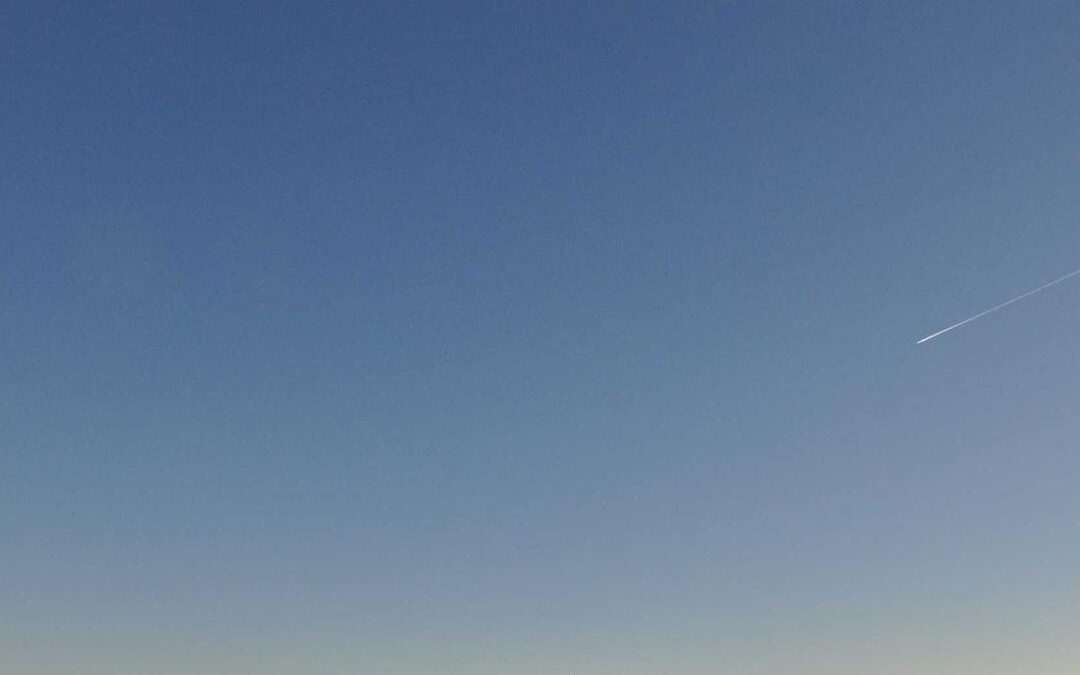 Et repellat adipisci officiis illum