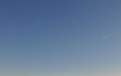 Et repellat adipisci officiis illum